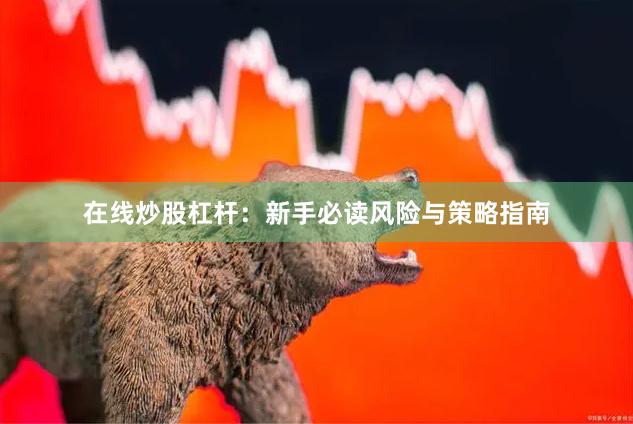 在线炒股杠杆：新手必读风险与策略指南